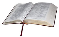 Bible
